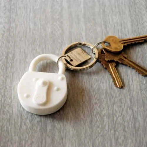 Lock-Style Keychain By Areaware 1